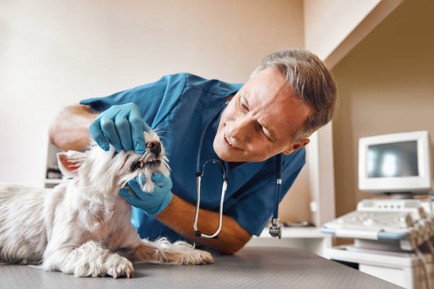 Best Emergency Wisdom Teeth Removal in Marina, CA